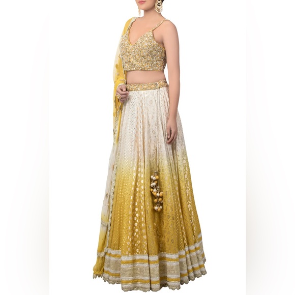 Priyanka Jain Lengha - White Printed And Embroidered Lehenga Set - Picture 2 of 5